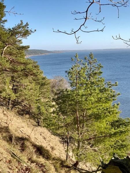 Pod Debem * Wapnica (West Pomeranian)